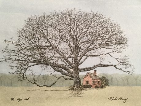 The Wye Oak