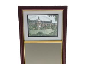 Martin Barry Custom Mirror 2